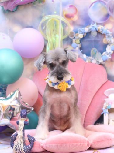 20240804ラーラちゃん